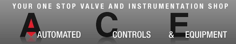 ACE AUTOMATED CONTROLS AND EQUIPMENT INC